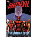 Daredevil: Shadowland Omnibus Cassaday Cover [New Printing] - Hardcover