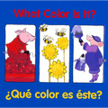 What Color Is It? - Board Book
