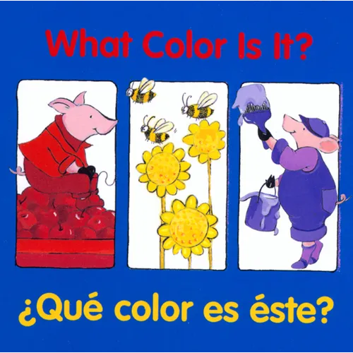 What Color Is It? - Board Book