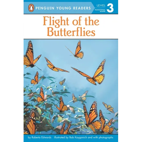Flight of the Butterflies - Paperback
