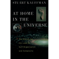 At Home in the Universe: The Search for the Laws of Self-Organization and Complexity - Paperback