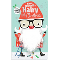 Have Yourself a Hairy Little Christmas - Board Book