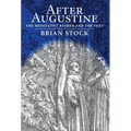 After Augustine: The Meditative Reader and the Text - Hardcover