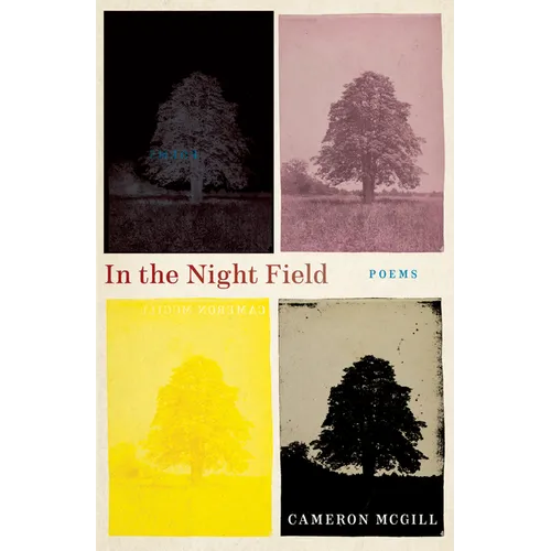 In the Night Field - Paperback