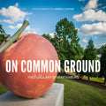 On Common Ground: The Public Art of Spartanburg - Paperback