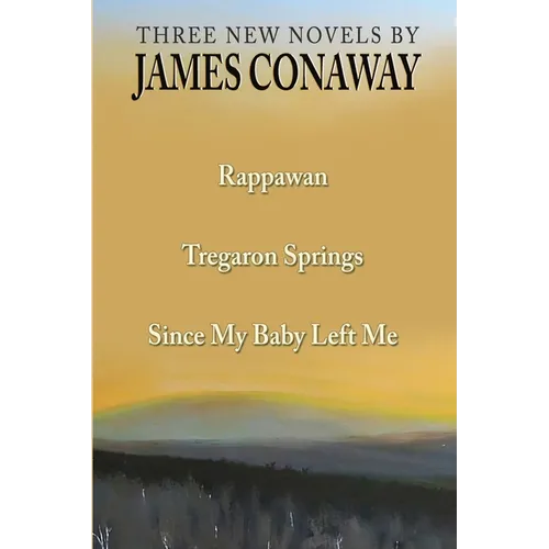 Three Short Novels: Rappawan, Tregaron Springs, Since My Baby Left Me - Paperback