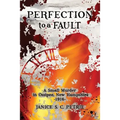 Perfection To A Fault: A Small Murder in Ossipee, New Hampshire, 1916 - Paperback