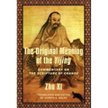 The Original Meaning of the Yijing: Commentary on the Scripture of Change - Paperback