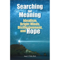 Searching for Meaning: Idealism, Bright Minds, Disillusionment, and Hope - Paperback