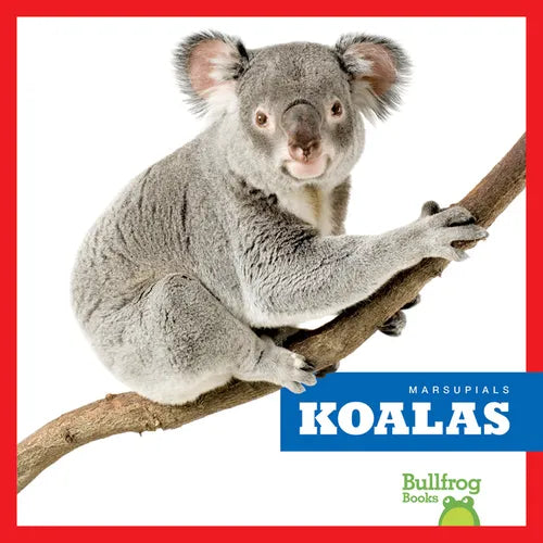Koalas - Library Binding