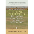 Beyond Believing: Be-Living in a Wonderful World Gone Wonky: A Spiritual Apologetic - Paperback