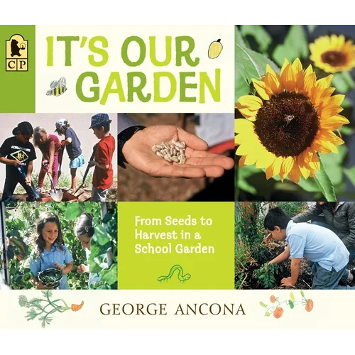 It's Our Garden: From Seeds to Harvest in a School Garden - Paperback