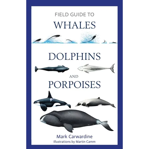 Field Guide to Whales, Dolphins and Porpoises - Paperback