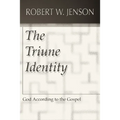 The Triune Identity: God According to the Gospel - Paperback