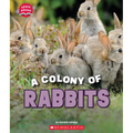 A Colony of Rabbits (Learn About: Animals) - Paperback