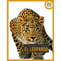 Leopardo - Paperback