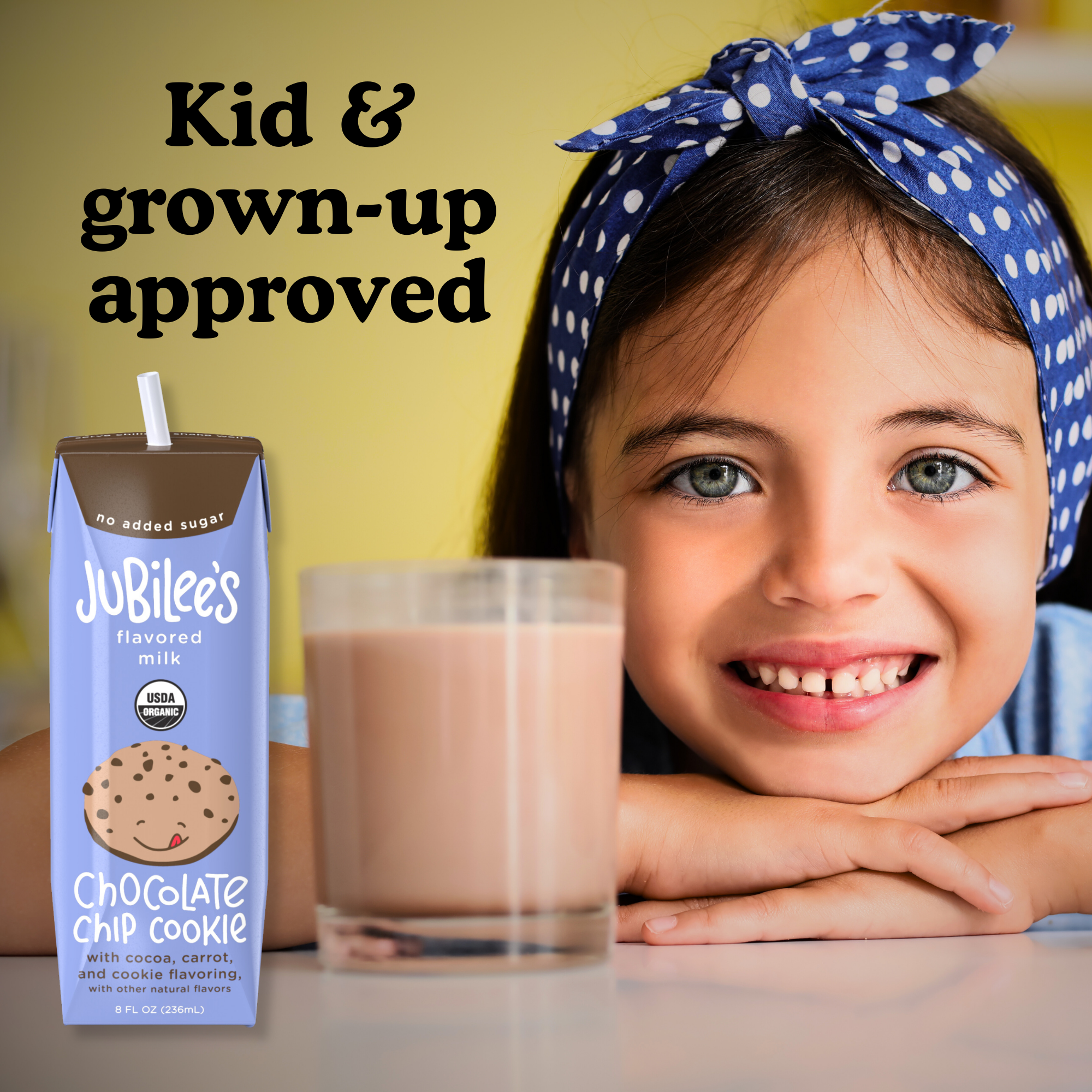 Chocolate Chip Cookie Organic Whole Milk Boxes, 12-pack