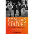Popular Culture in American Hi - Paperback