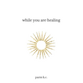While You are Healing - Paperback