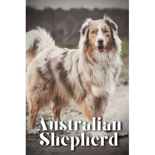 Australian Shepherd: How to train your dog and raise from puppy correctly - Paperback