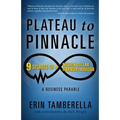 Plateau to Pinnacle: 9 Secrets of a Million Dollar Financial Advisor - Paperback