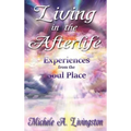 Living in the Afterlife: Experiences from the Soul Place - Hardcover