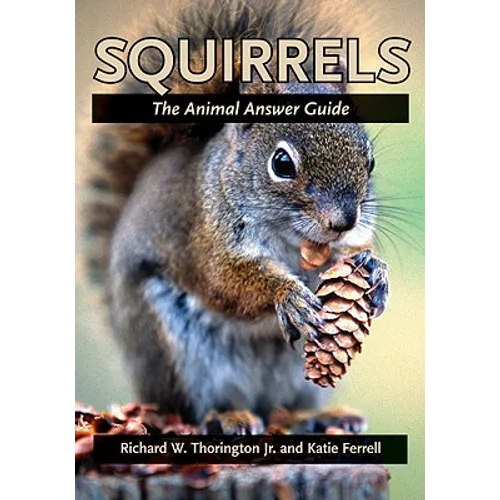 Squirrels: The Animal Answer Guide - Paperback