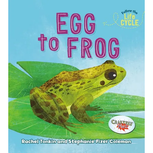 Egg to Frog - Paperback