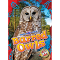 Barred Owls - Library Binding