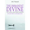The Immanent Divine: God, Creation, and the Human Predicament - Paperback