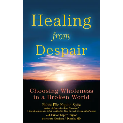Healing from Despair: Choosing Wholeness in a Broken World - Hardcover