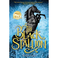 The Black Stallion - Paperback