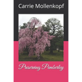 Preserving Pemberley - Paperback