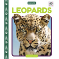 Leopards - Library Binding