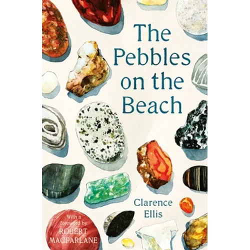 The Pebbles on the Beach - Paperback