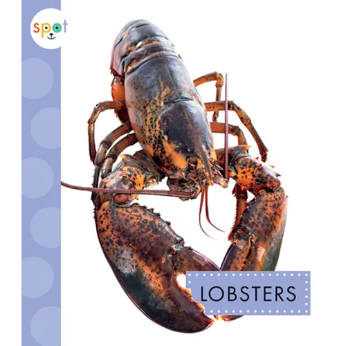 Lobsters - Paperback