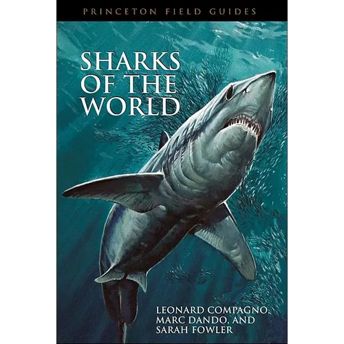 Sharks of the World - Paperback