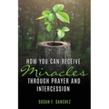How You Can Receive Miracles Through Prayer and Intercession - Paperback