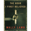 The Hour I First Believed - Paperback