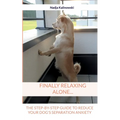 Finally relaxing alone...: The step-by-step guide to reduce your Dog's separation anxiety - Paperback