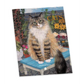Mimi Vang Olsen Cats Color Bk - Paperback