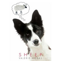 Sheep - Paperback