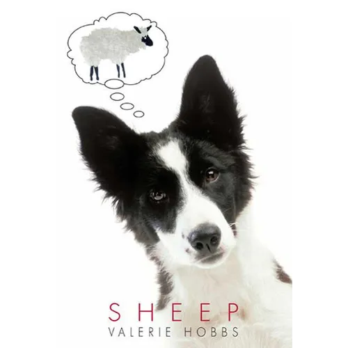 Sheep - Paperback