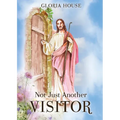 Not Just Another Visitor - Paperback