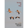 Vertigo of Risk - Paperback