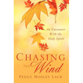 Chasing The Wind - Paperback
