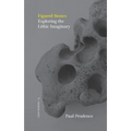 Figured Stones: Exploring the Lithic Imaginary - Paperback