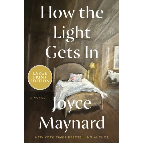 How the Light Gets in - Paperback