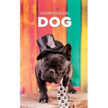 Address Book Dog - Paperback