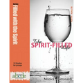The Spirit-Filled Life: Discipleship abcde series: Growth in Holiness - Paperback